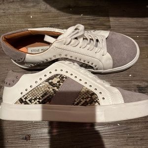 Steve Madden snake skin Sneakers